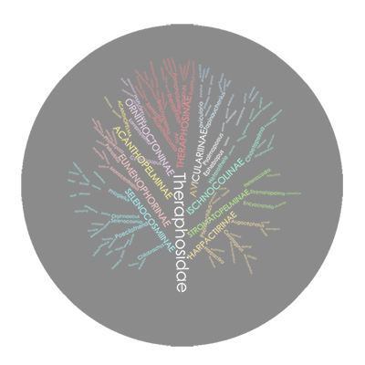 Tarantupedia Tree
